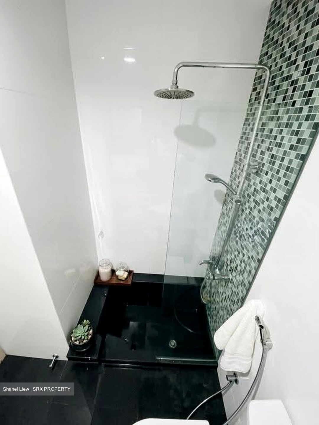Opal Suites (D12), Apartment #619561371
